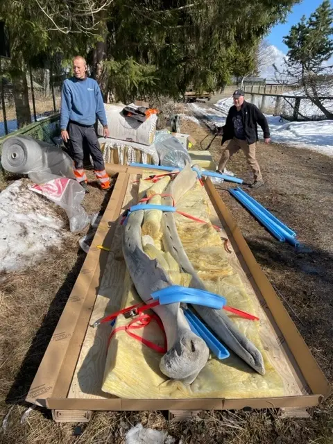 caisse sur mesure hors format